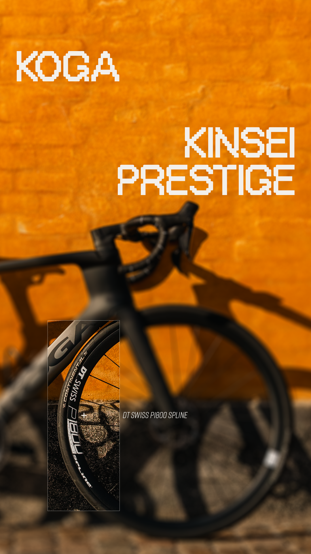 Nikolajriise.cc_Story_03a